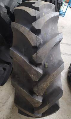 Шина пневмо 15.5/80-24 16PR Apollo FX525 TL